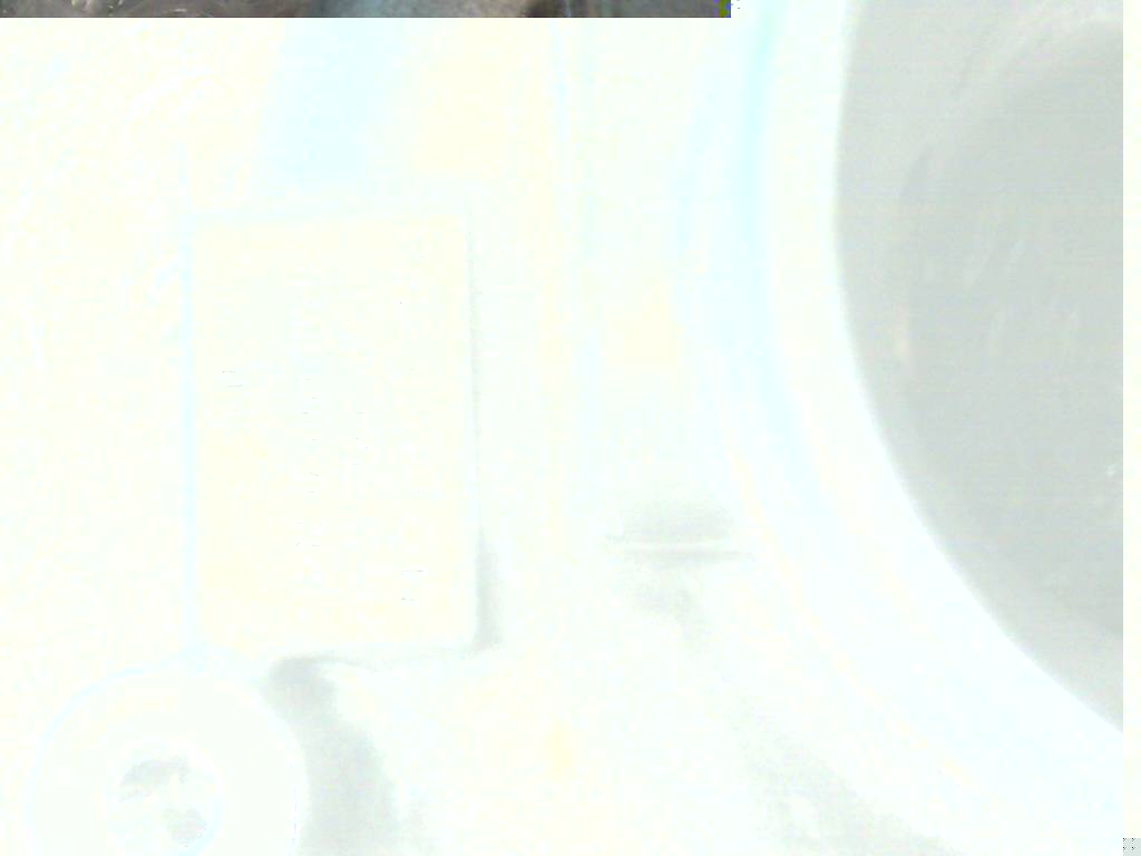 cod_mio.jpg