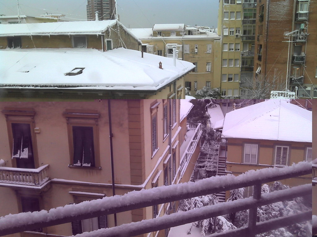 2012-02-01_08-10-36_242.jpg