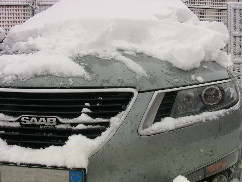 IMG_0256b.JPG