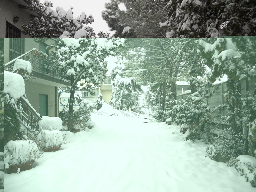 DSCN0818.JPG