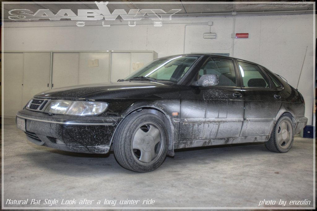 rat02r.jpg