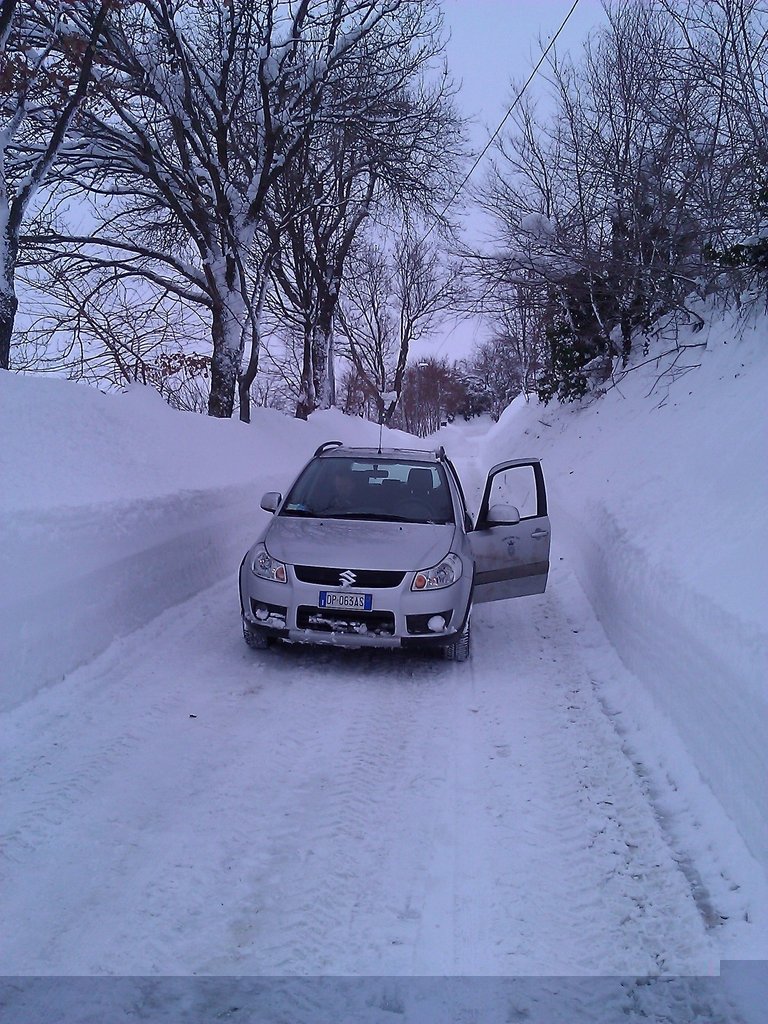WP_000293.jpg