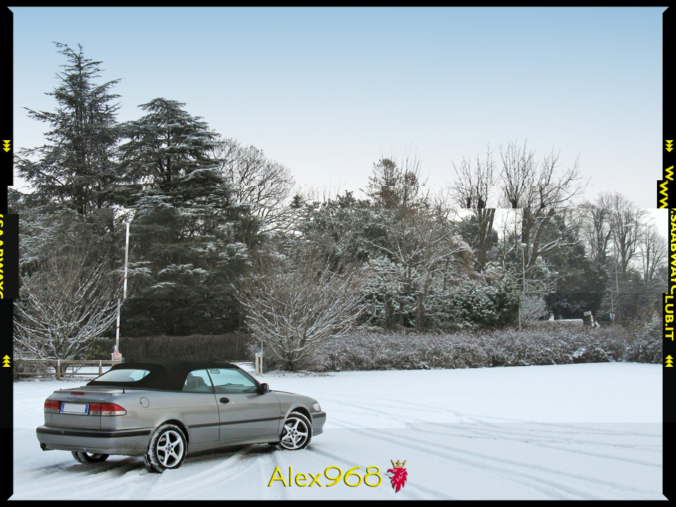 Alex968_9-3_Cabrio_002.jpg