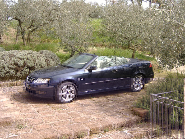 9.3 cabrio 448 03.jpg