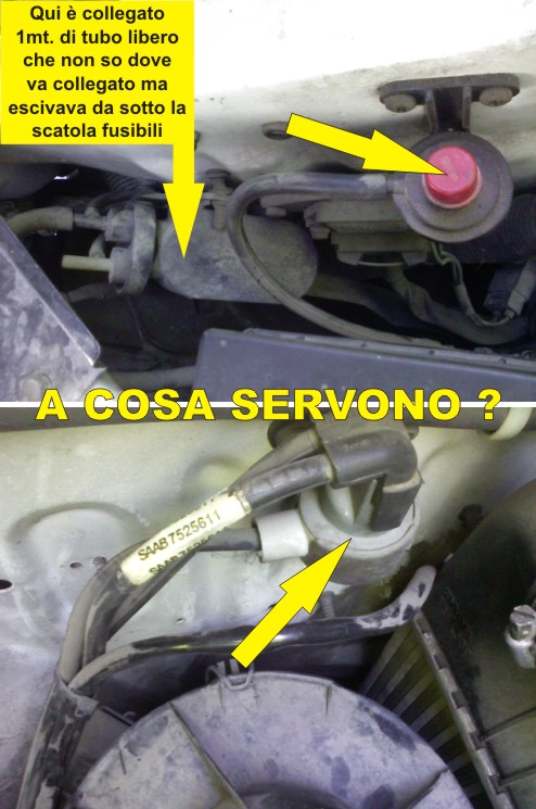 a cosa servono.jpg