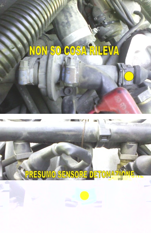 WARM UP REGULATOR.jpg