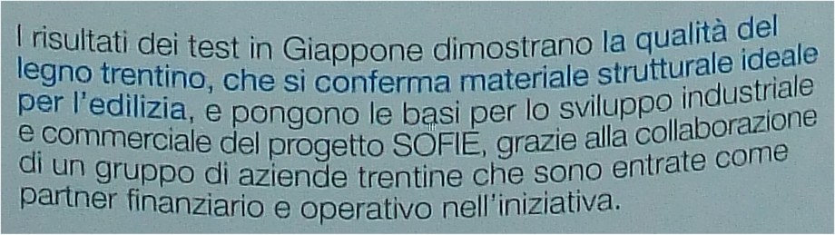 sofie4.jpg