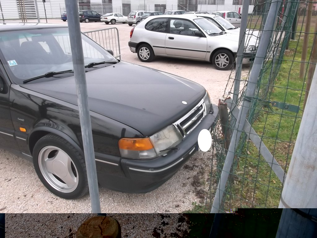 DSCF0788.jpg