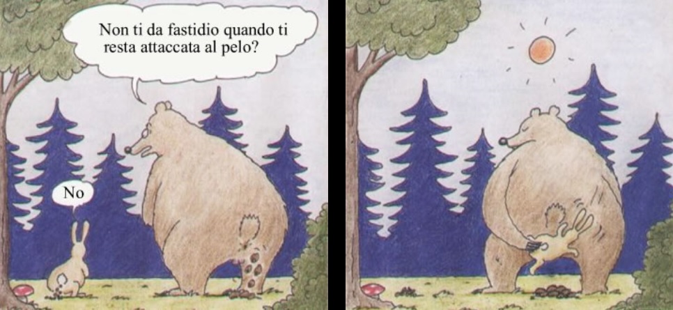 orso coniglio.jpg