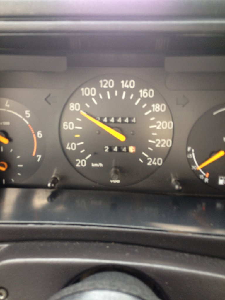 244444.JPG