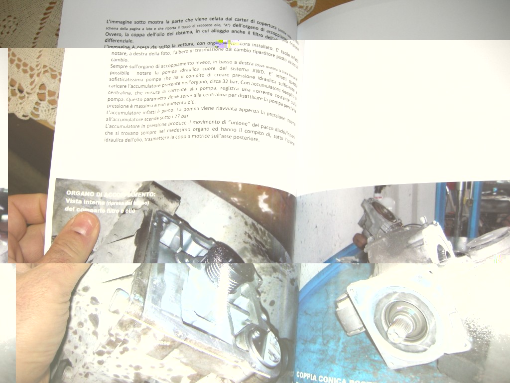 DSCN3233.JPG