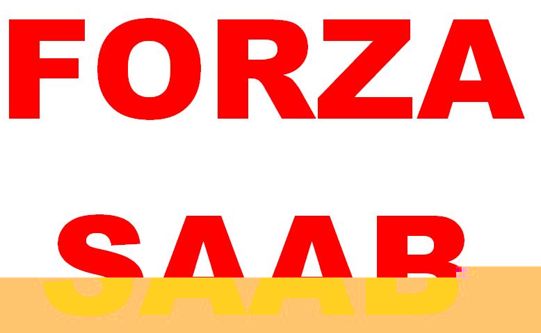 FORZA SAAB.JPG