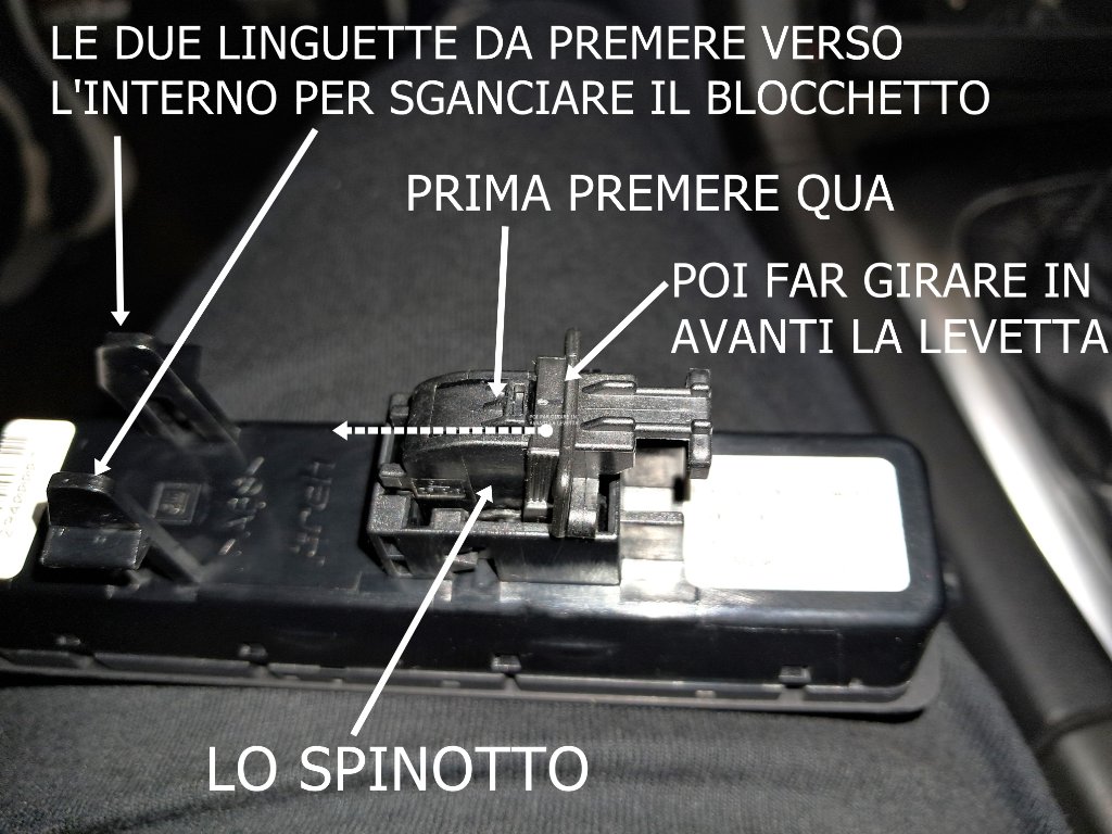 20241018_154207.jpg