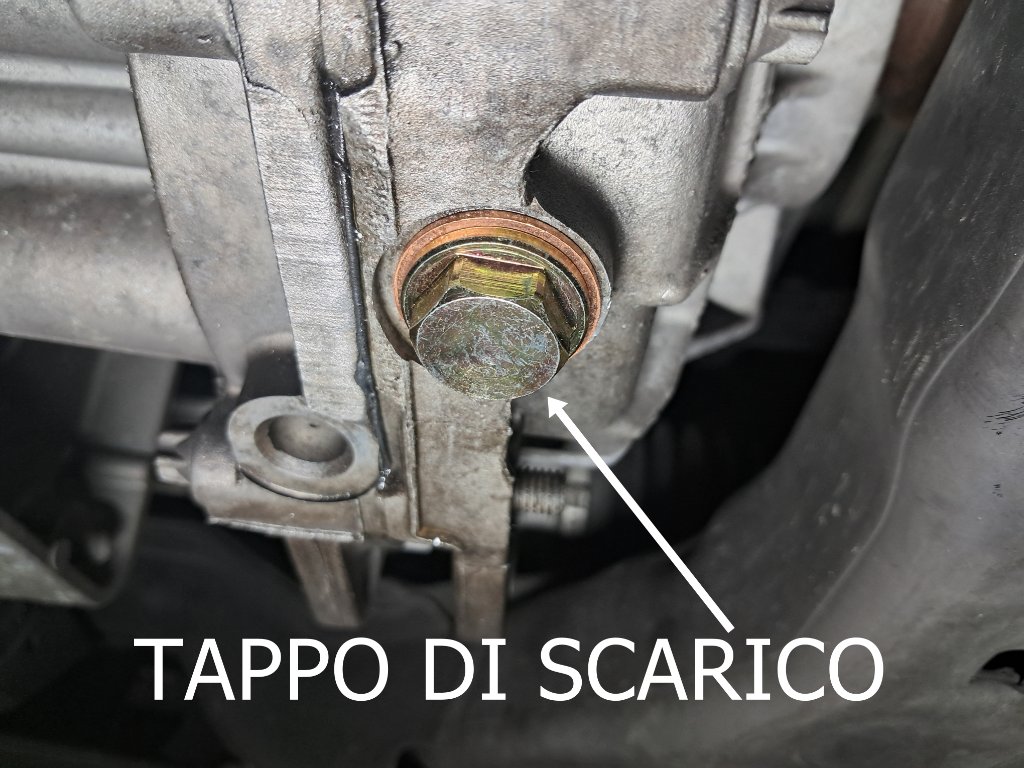20260604_181357.jpg