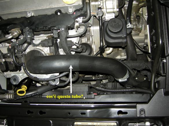 motore 1.jpg