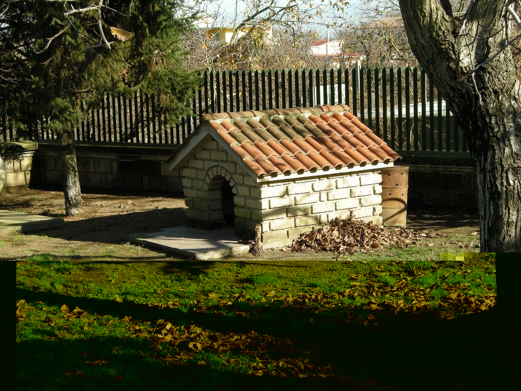 DSCN1661.JPG