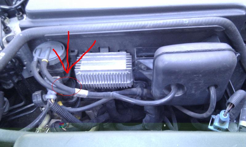 img20110405171736.jpg