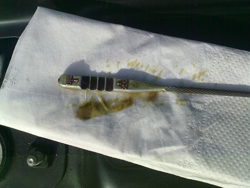 Mobil 0W40 1250km.jpg