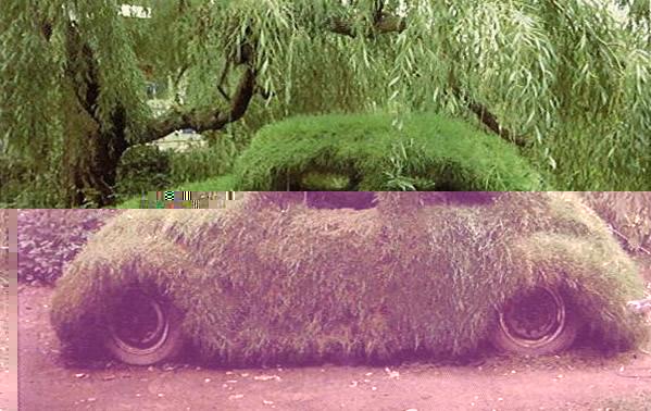 auto... mimetica.jpg