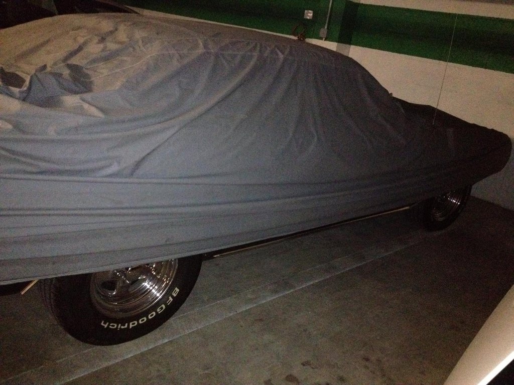 car 005.jpg