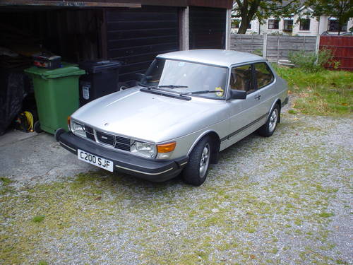 2258904.jpg