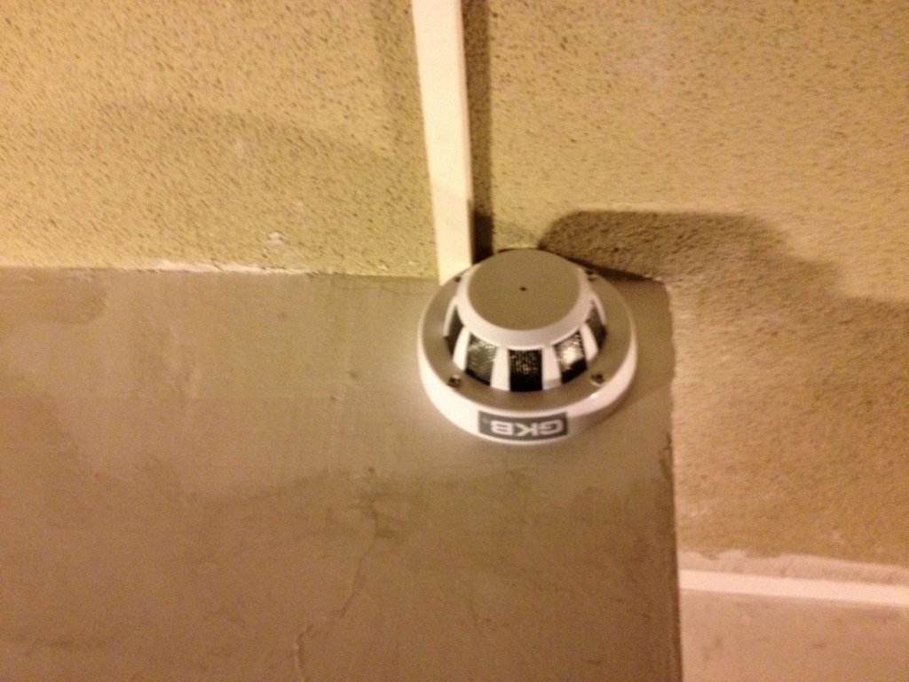 foto-1.JPG