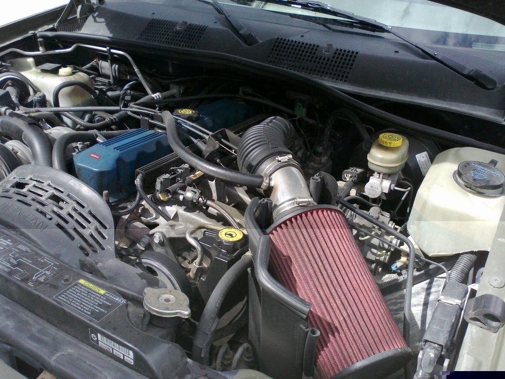 Neve .11feb2012061.jpg