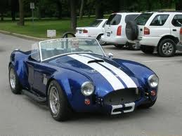 cobra.jpg