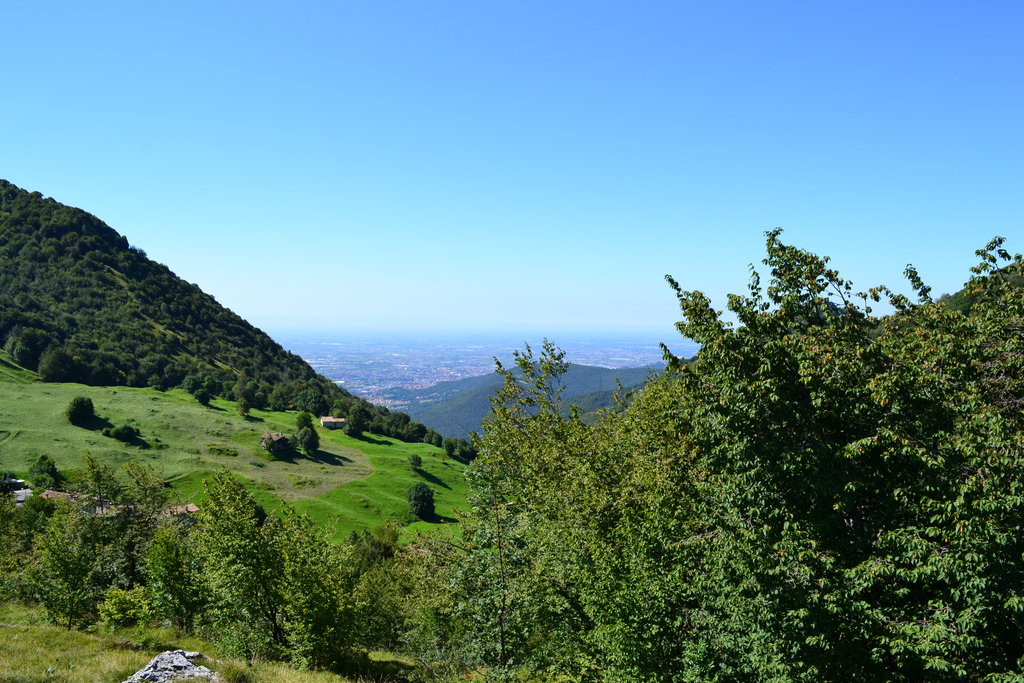 DSC_2936.JPG
