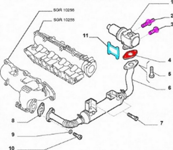 Schema EGR.jpg