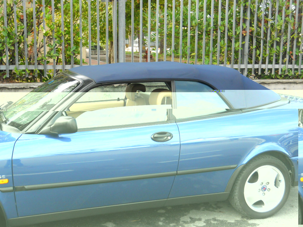 DSCN0050.JPG