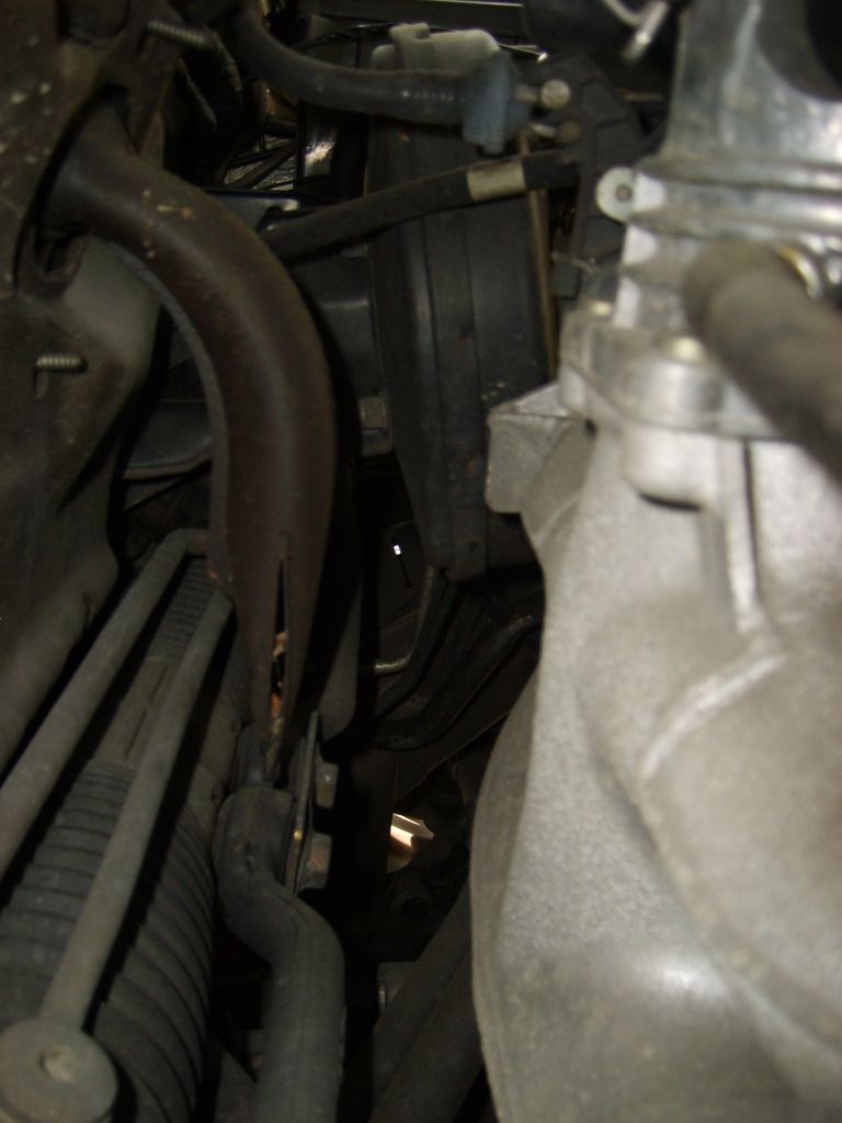 S6004716.JPG