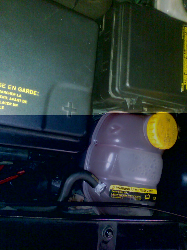 Immag0678.jpg