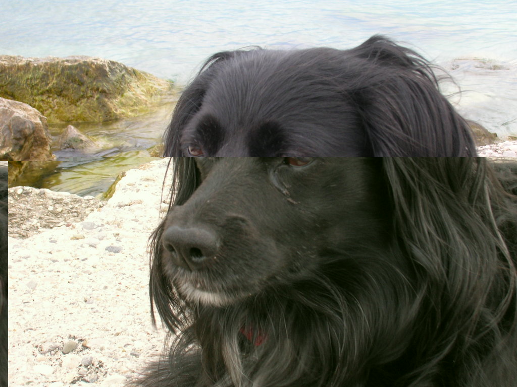 air show frecce tricolori 030.jpg