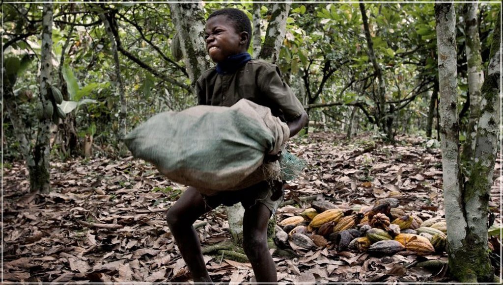 cacao.jpg