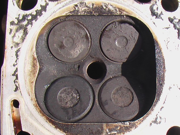 IMGA6156.JPG
