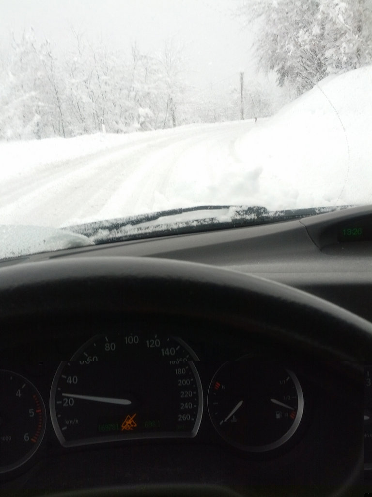 IMG_20130318_132835.jpg