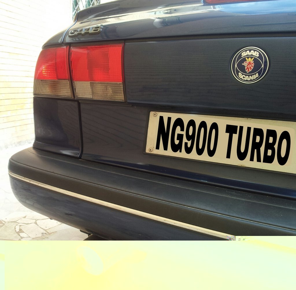 mysaabrearplate.jpg