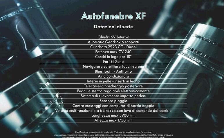 xf.JPG