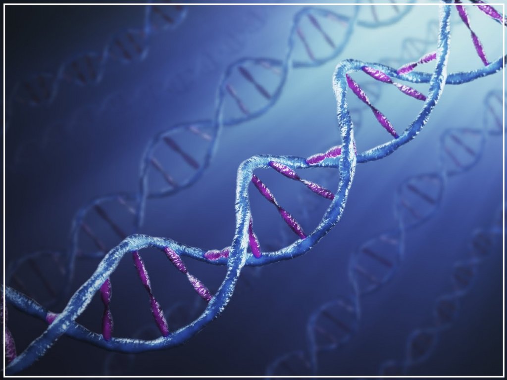 dna.jpg
