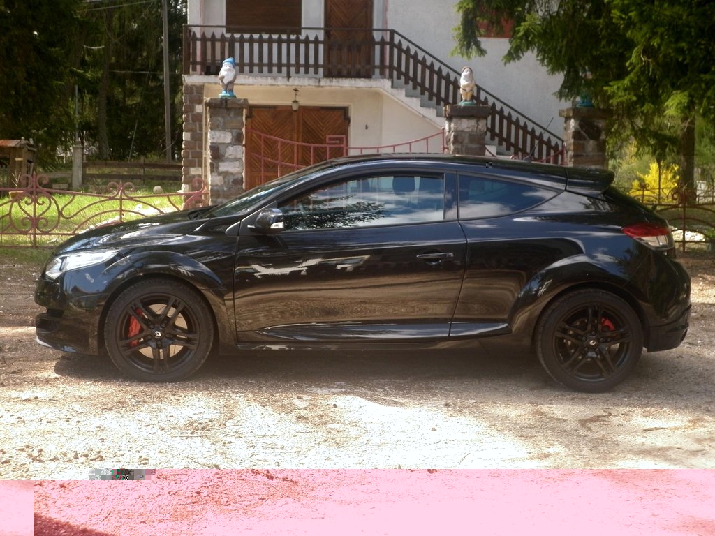 Megane laterale dx eid.JPG