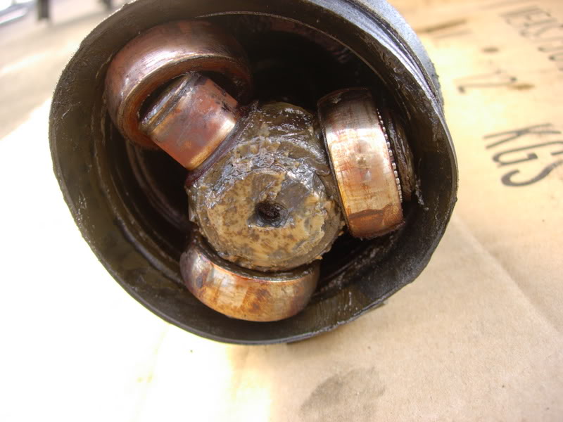DSCN6331.jpg