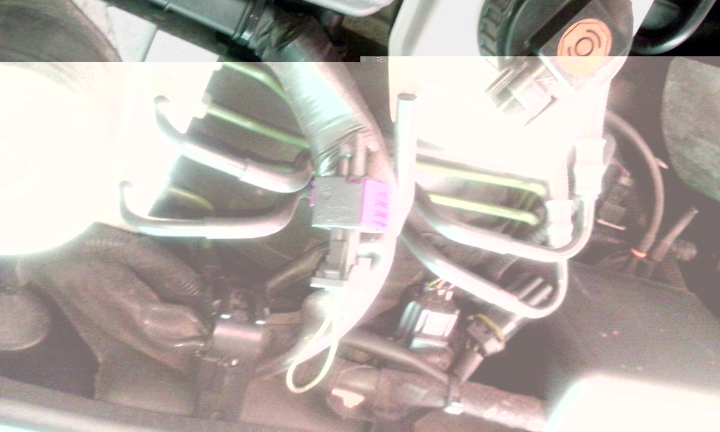 IMG_20130726_183108.jpg