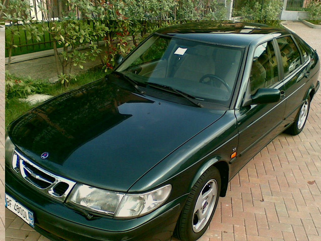 20092009(003).jpg
