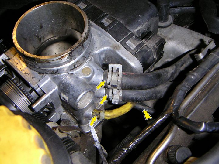 20041006g.Hoses.jpg