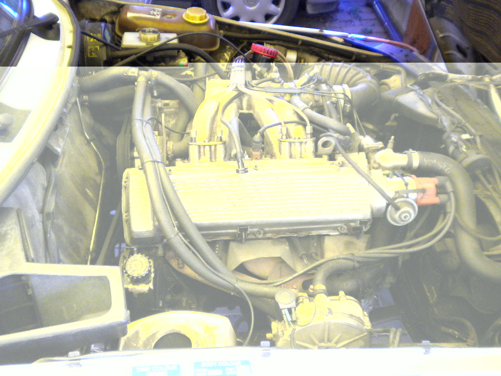 DSCN1445.JPG
