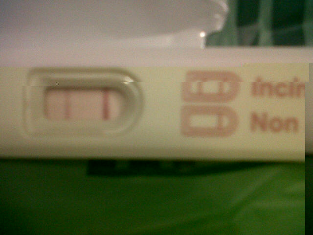 Gravidanza.jpg
