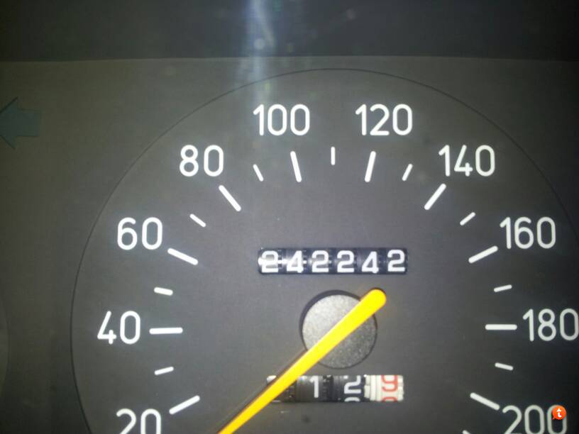 242242.jpg