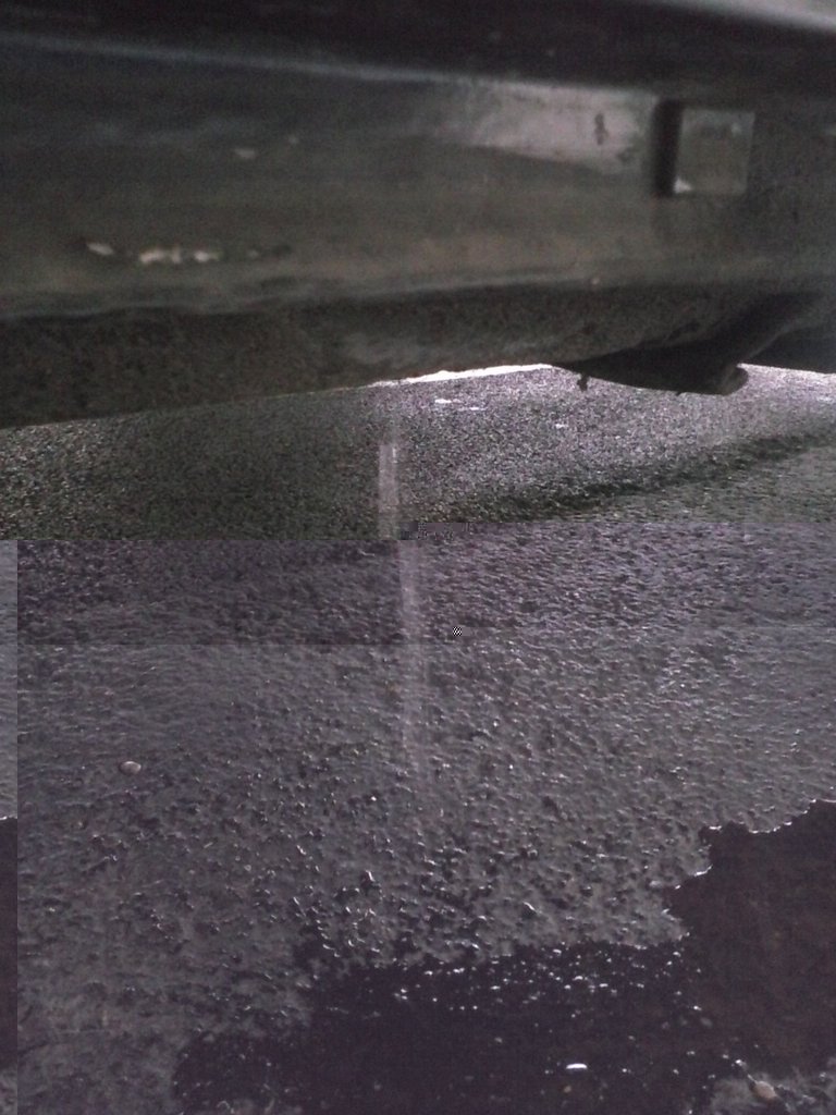CAM00305.jpg