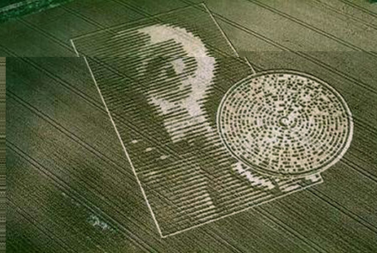 052_crop.jpg